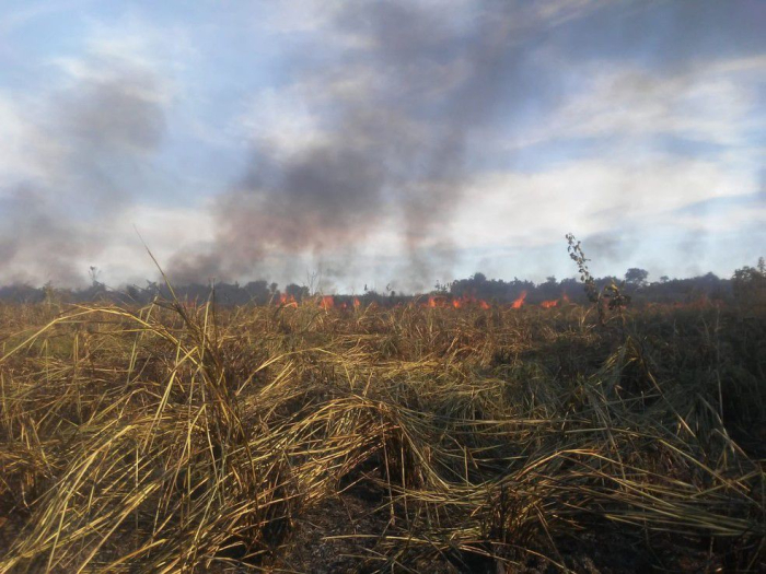 Incêndio nas pastagens nas proximidades do trevo das Sete Cruzes