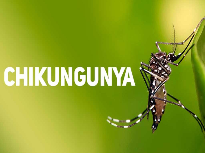 Selvíria confirma dois casos de Chikungunya